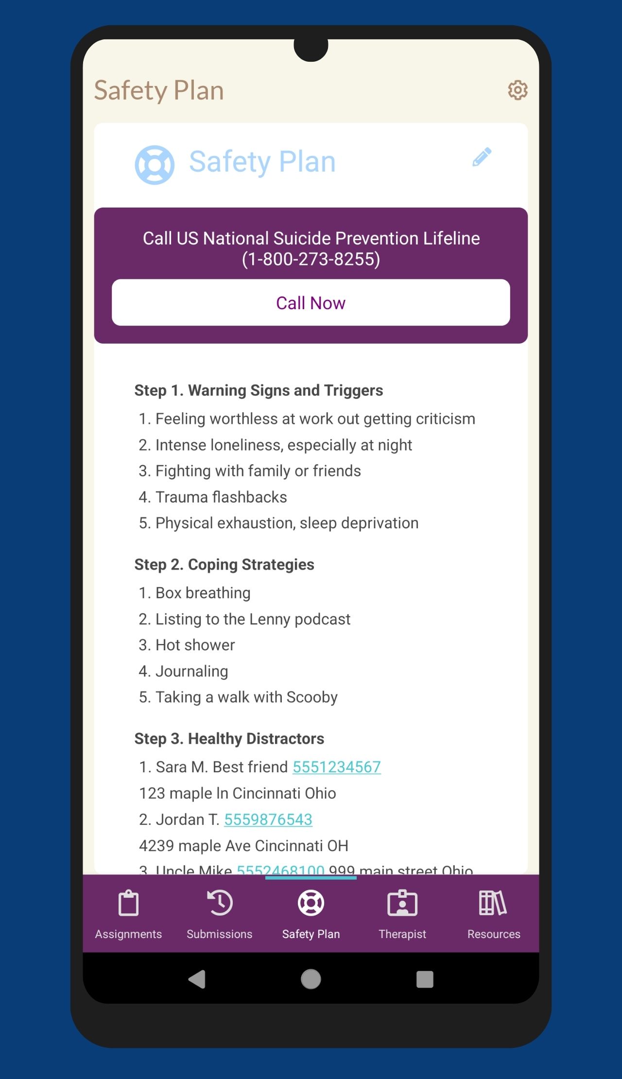 Completed Safety Plan in the patient mobile app